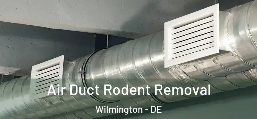 Air Duct Rodent Removal Wilmington - DE
