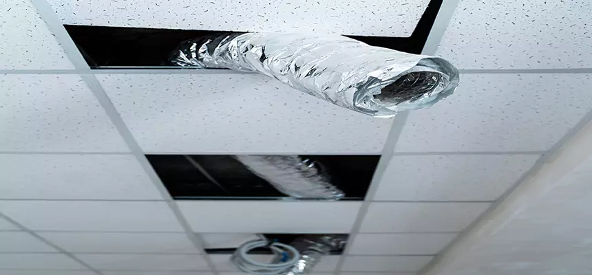 Affordable HVAC Sanitizing After Pest Removal in Wilmington