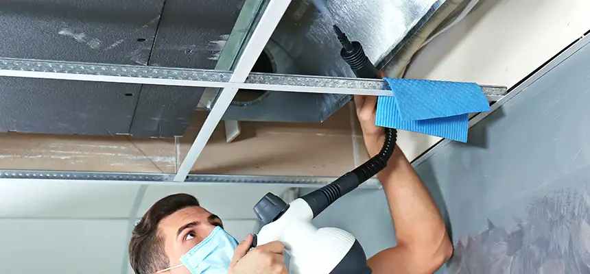 Our Air Duct Rodent Removal Services in Wilmington, DE