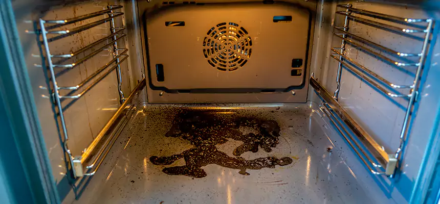 Our Dryer Vent Mold Cleaning Services in Wilmington, DE