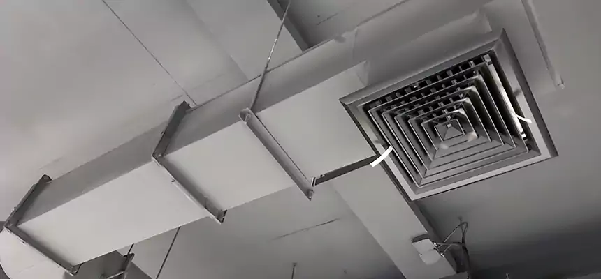 Our Pest Removal From Ducts Services in Wilmington, DE