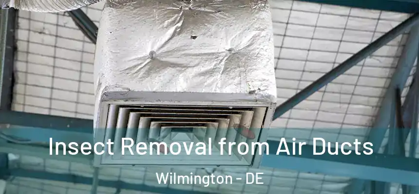 Insect Removal from Air Ducts Wilmington - DE