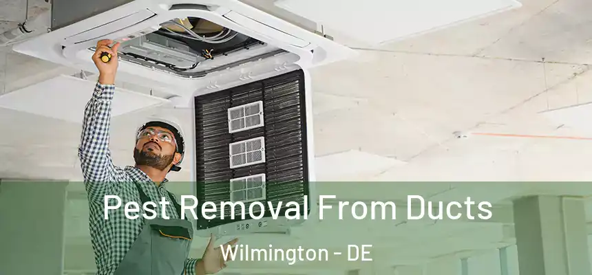 Pest Removal From Ducts Wilmington - DE