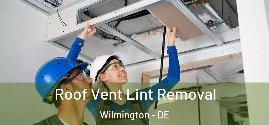 Roof Vent Lint Removal Wilmington - DE