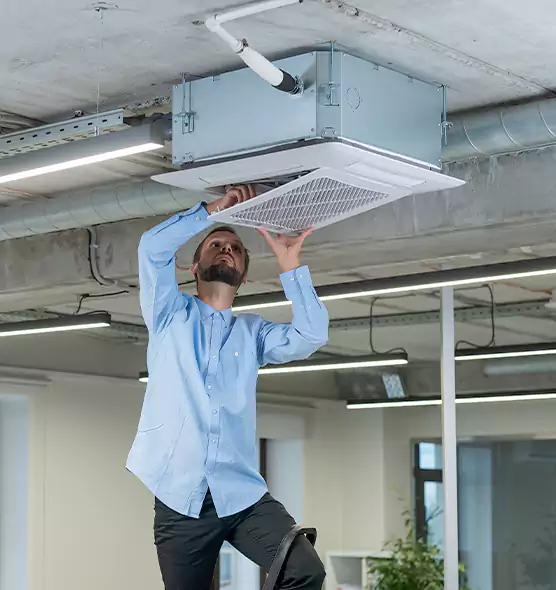 Advanced Rodent Droppings In Vents in Wilmington, DE
