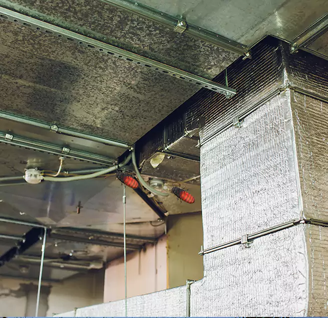 Why Homeowners & Businesses Trust Us in Wilmington, DE?