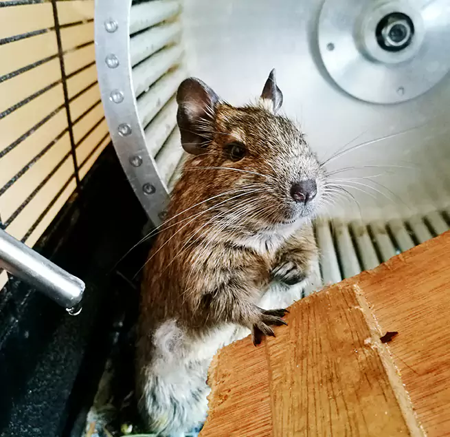 Why Homeowners & Businesses Trust Us Wilmington, DE?